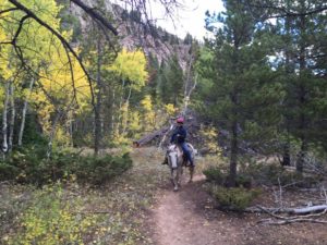 jennie-on-horse